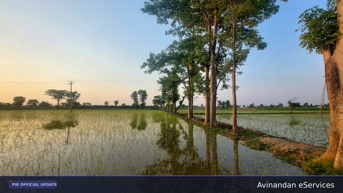 Jal Jeevan Mission 2.0: DDWS Rolls Out Nal Jal Mitra and Sujalam Shakti to Train 13 Lakh Rural Water Professionals