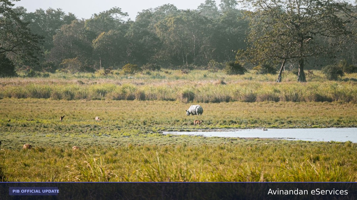 Prime Minister Celebrates World Rhino Day: Assam Praised for Protecting Nearly 80% of Global Population