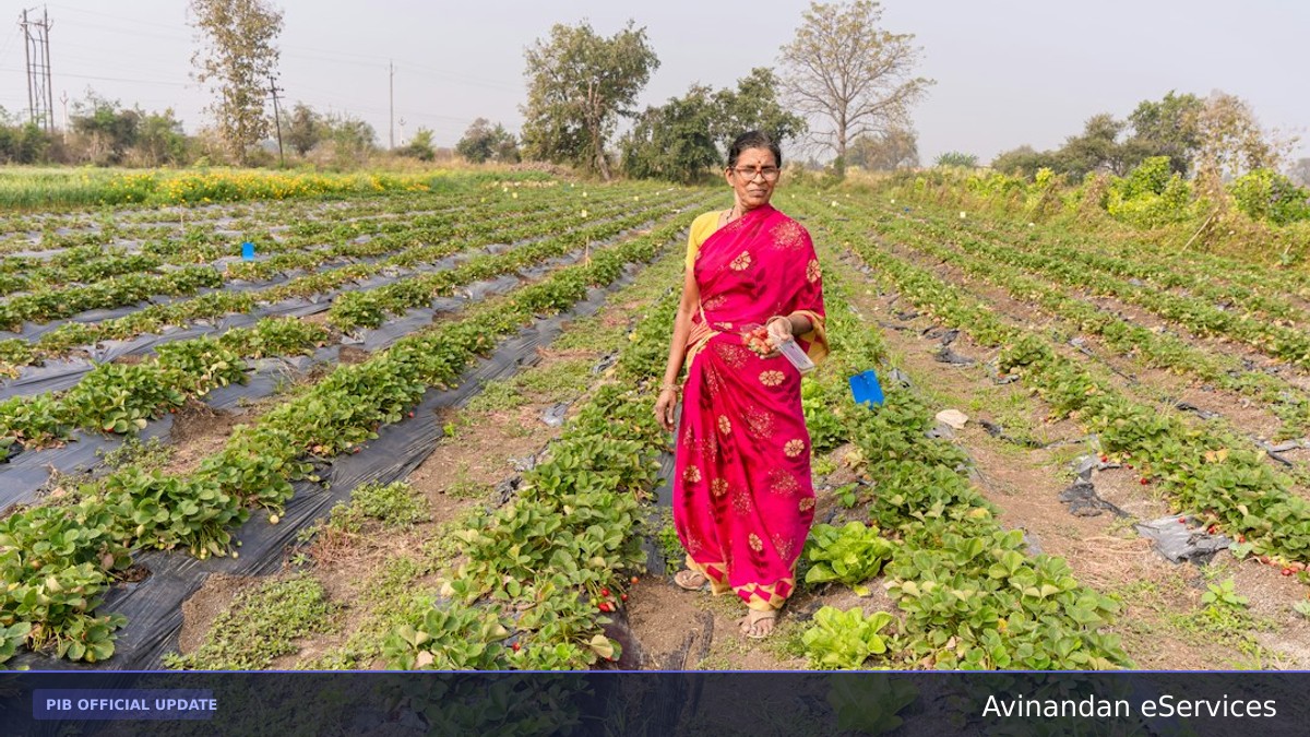 From Greenery to Prosperity: How NSFDC and WBSCDC Empowered Rural Women in West Bengal