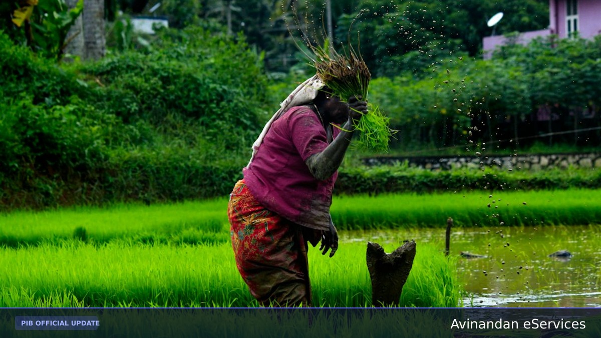 Government Approves ₹220 Crore Interest-Free Loan Package for FCV Tobacco Growers in Andhra Pradesh