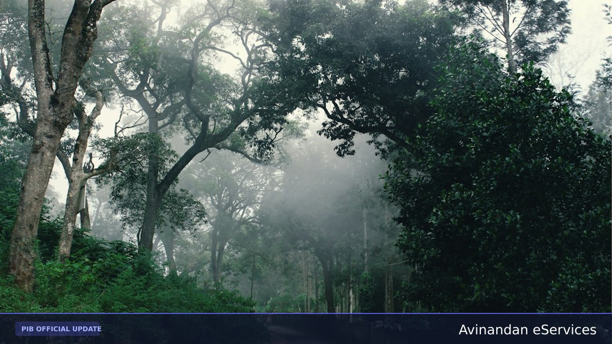 India Showcases Pioneering Forest and Landscape Restoration at FAO COFO 28 in Rome