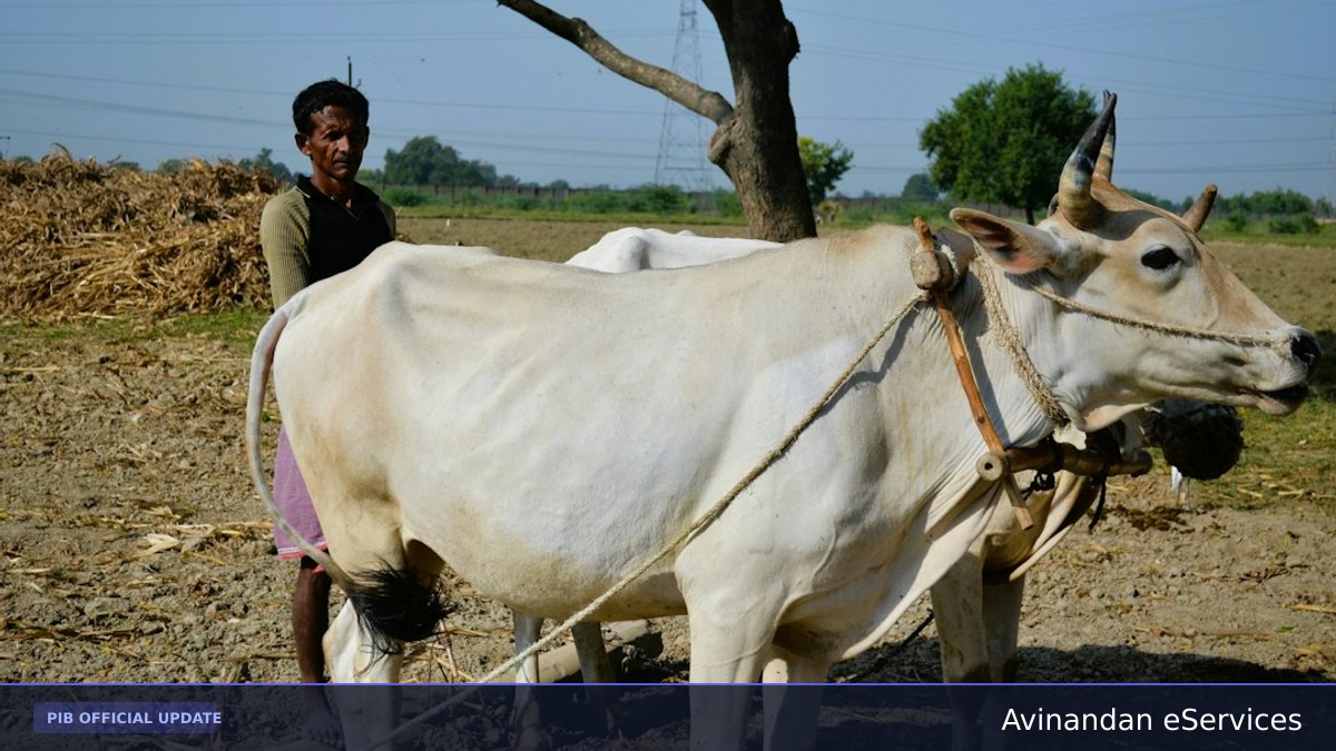 Government Launches Comprehensive Livestock Insurance Portal to Safeguard Farmers and Boost Rural Economy