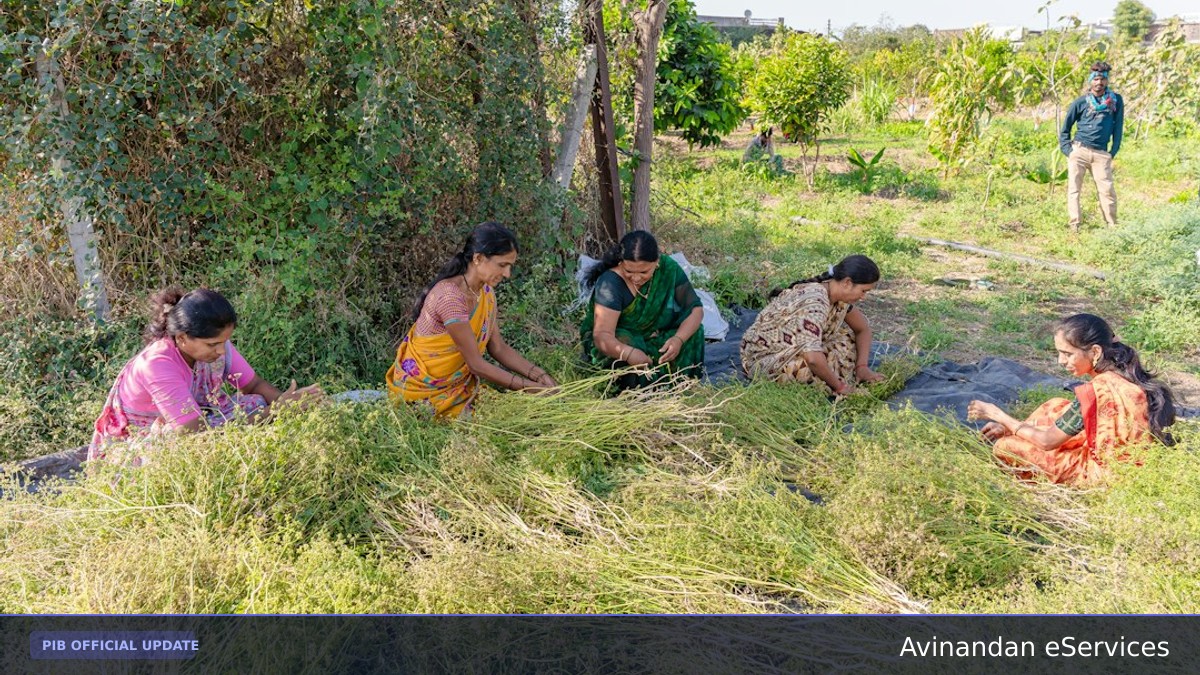Swachhata Hi Seva: Department of Land Resources Leads 'Ek Din, Ek Ghanta, Ek Saath' Cleanliness Drive in New Delhi