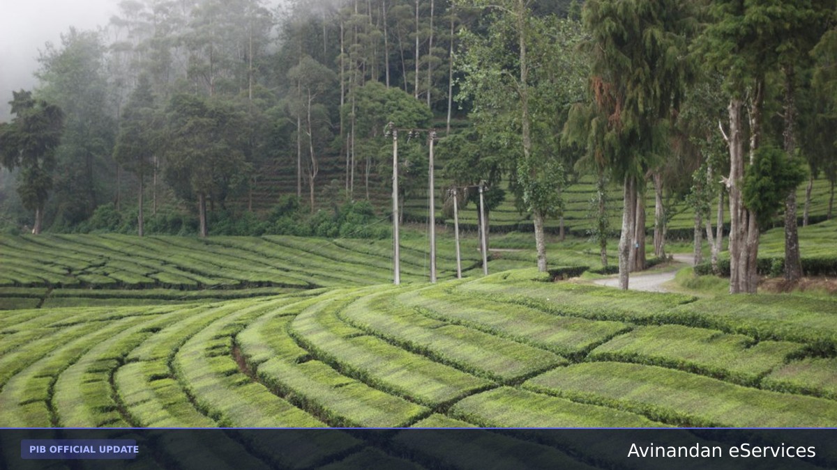 FSSAI Proposes New Science-Based Pesticide Residue Limits for Tea: A Major Step for Consumer Safety and Global Trade Alignment