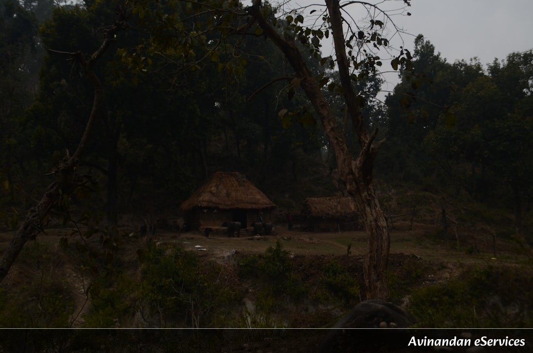 ইতিহাস স্যারের সাথে অর্জুন: অষ্টম শ্রেণির ইতিহাস, অধ্যায় ৪ – আদিবাসী, দিকু ও এক স্বর্ণযুগের কল্পনা