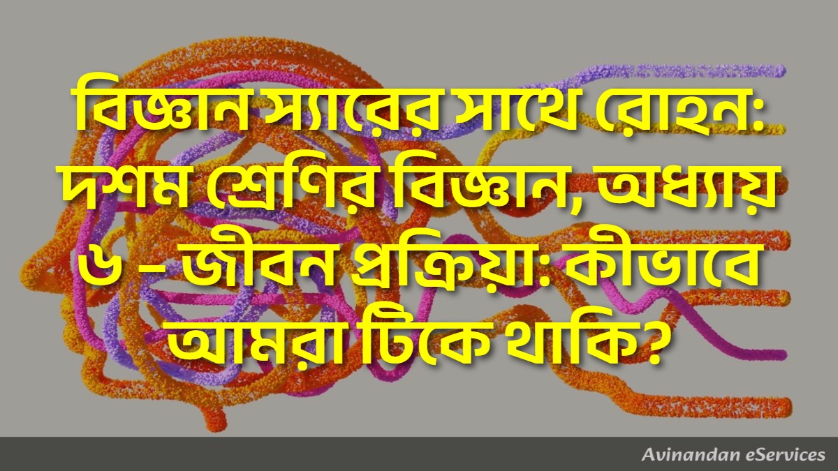 বিজ্ঞান স্যারের সাথে রোহন: দশম শ্রেণির বিজ্ঞান, অধ্যায় ৬ – জীবন প্রক্রিয়া: কীভাবে আমরা টিকে থাকি?