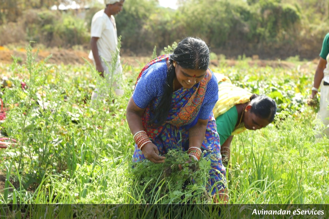 Mission for Aatmanirbharta in Pulses: A Comprehensive Guide to India's Pulses Self-Sufficiency Goal