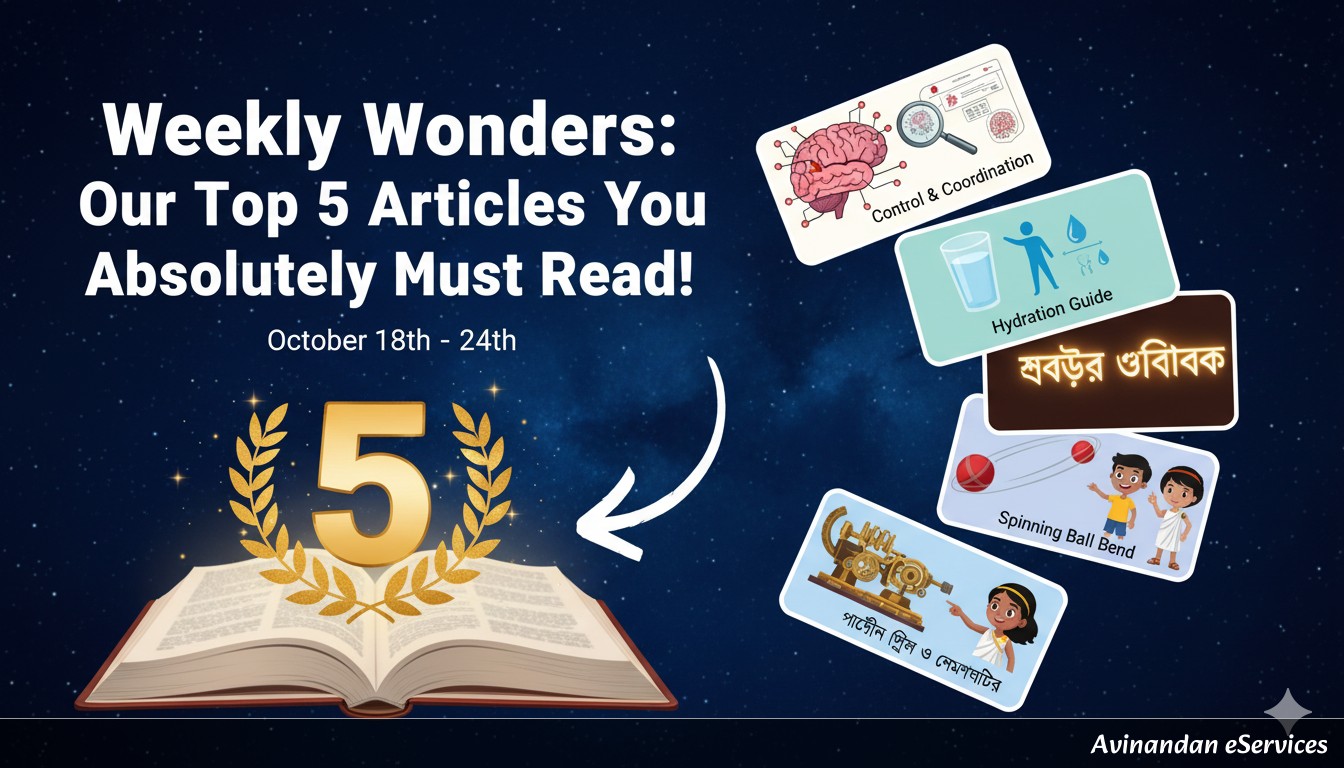 🏆 Weekly Wonders: Our Top 5 Articles You Absolutely Must Read! 🏆