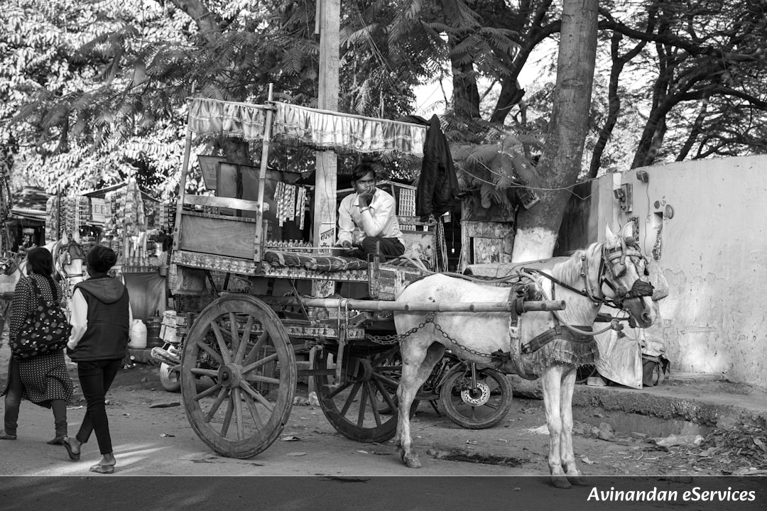 রাজ্যের হাসপাতালে নিরাপত্তা বৃদ্ধি এবং CAA নিয়ে রাজনৈতিক তরজা: আজকের বিশেষ খবর