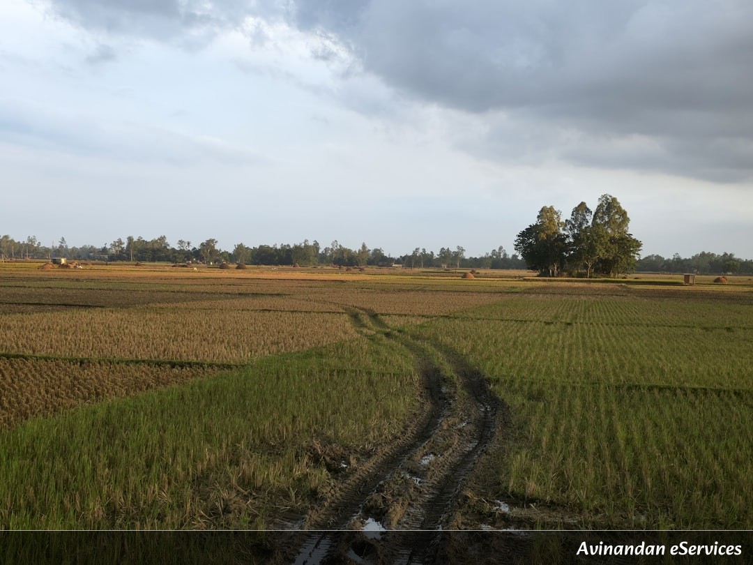 NCERT ব্যাখ্যা: দশম শ্রেণি ভূগোল, অধ্যায় ৪ – কৃষি: ভারতীয় অর্থনীতির মেরুদণ্ড