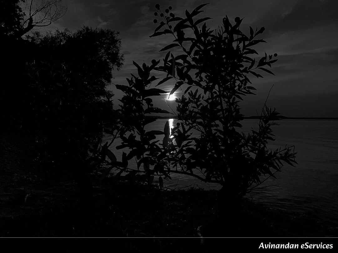 ঘুঙুরের ফিসফিসানি