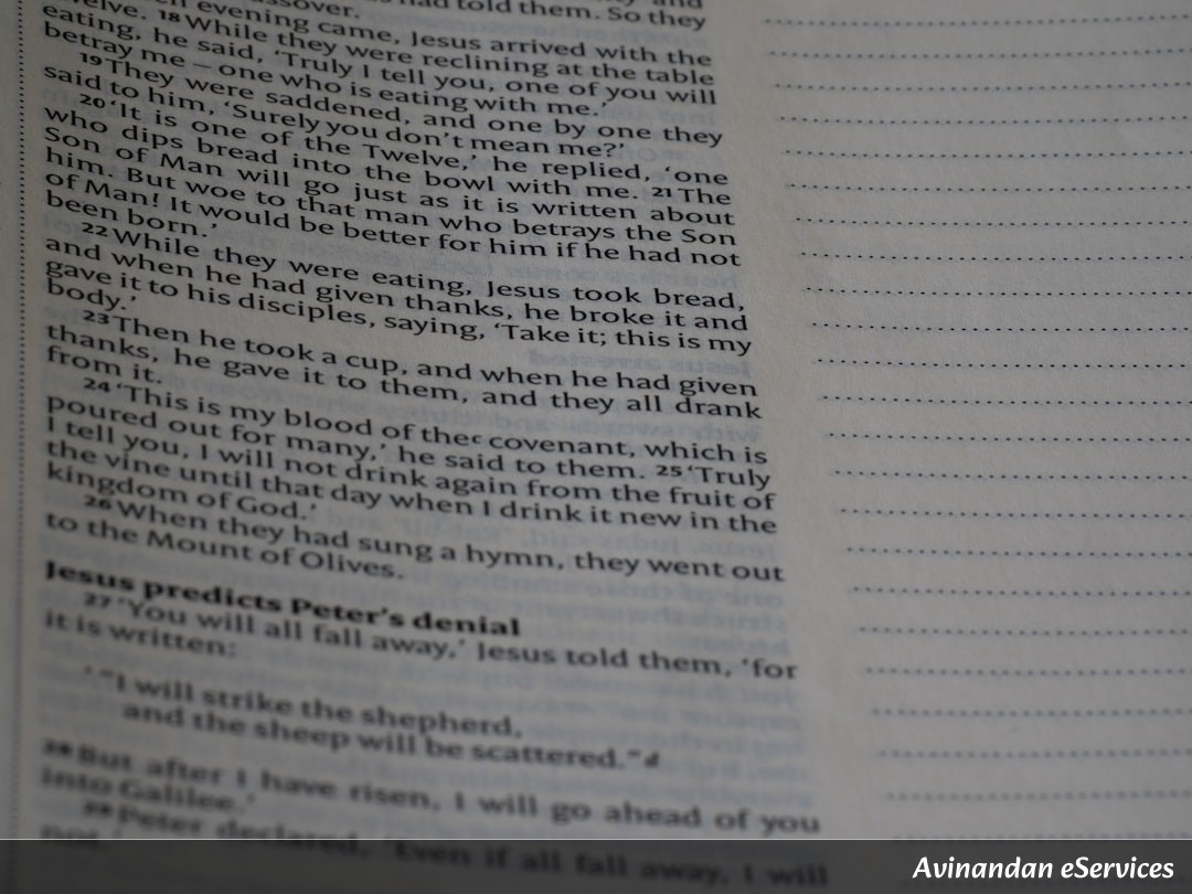 NCERT Explained: Class IX History, Chapter 2 - The Age of Social Change: Socialism and the Russian Revolution