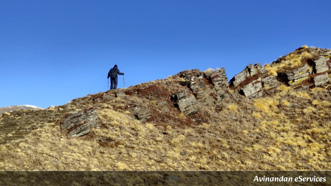 How Do You Weigh a Planet With a Mountain?: Arjun and Isha Investigate!
