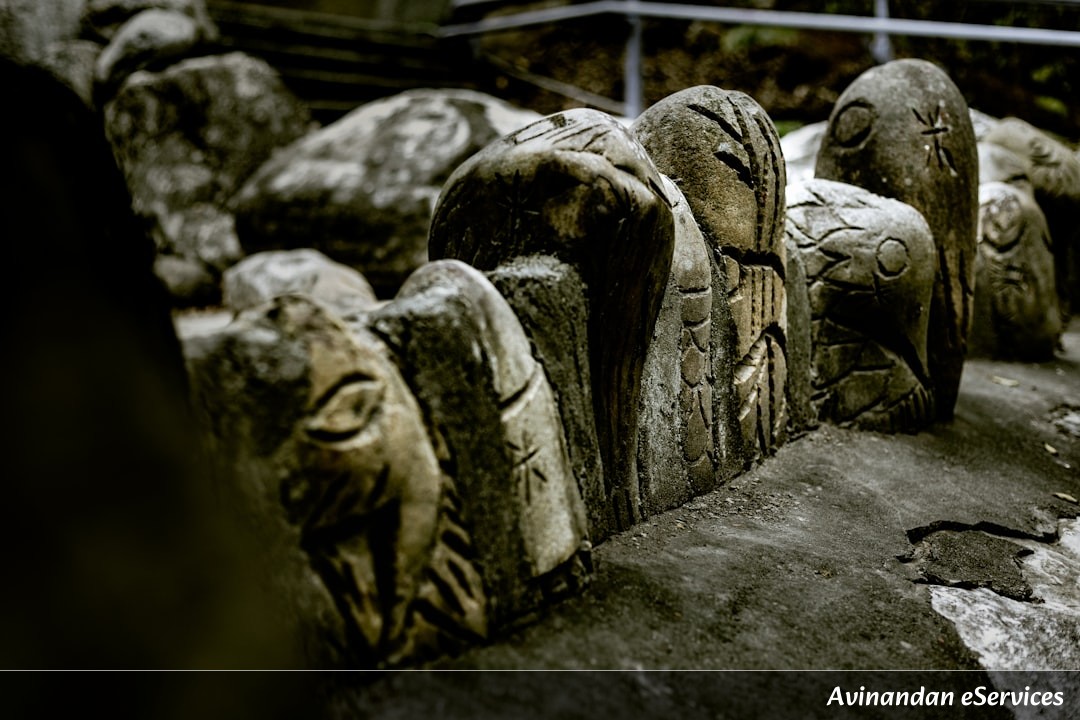NCERT বিস্তারিত ব্যাখ্যা: দ্বাদশ শ্রেণি ইতিহাস, অধ্যায় ৭ – একটি সাম্রাজ্যের রাজধানী: বিজয়নগর