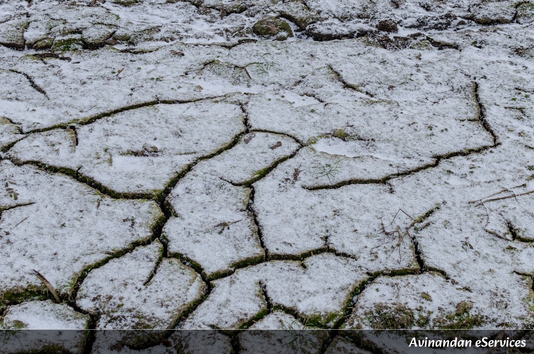 How Can Ice Actually Burn?: A Science Chat with Aarav and Priya