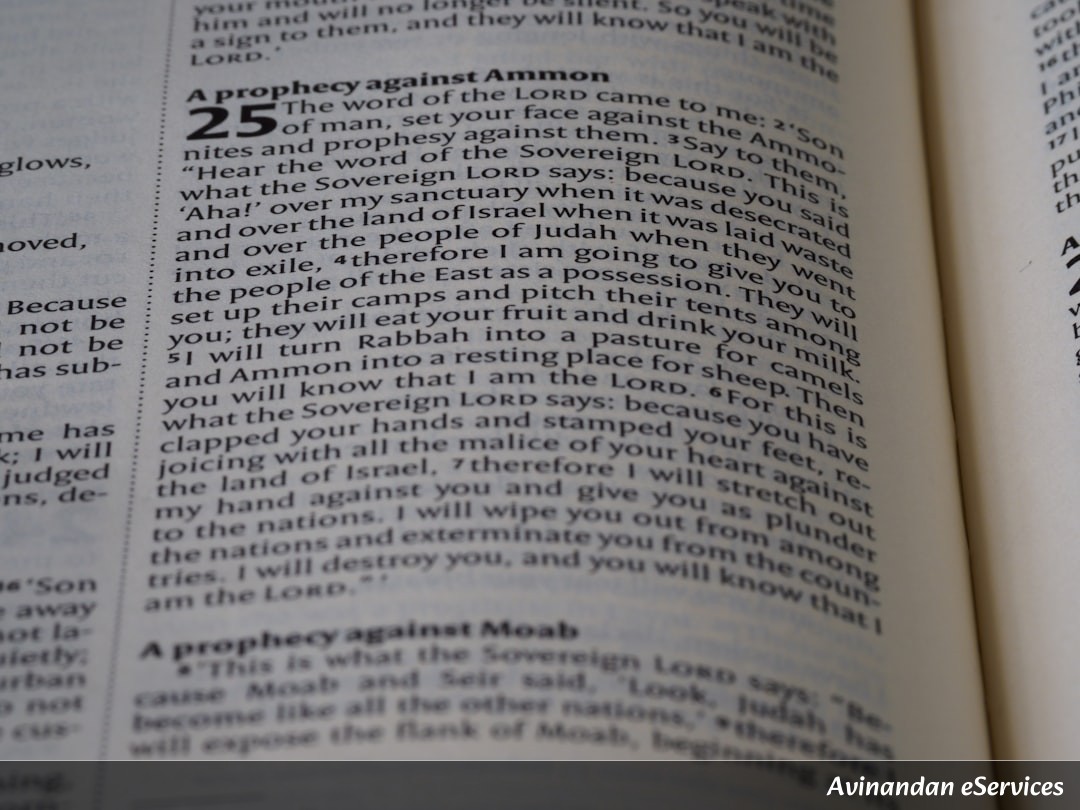 NCERT Explained: Class X Political Science, Chapter 7 - Outcomes of Democracy: A Critical Assessment