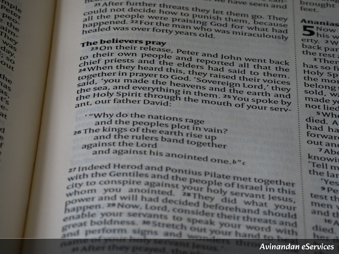 NCERT Explained: Class XII Political Science, Chapter 8 - Environment and Natural Resources