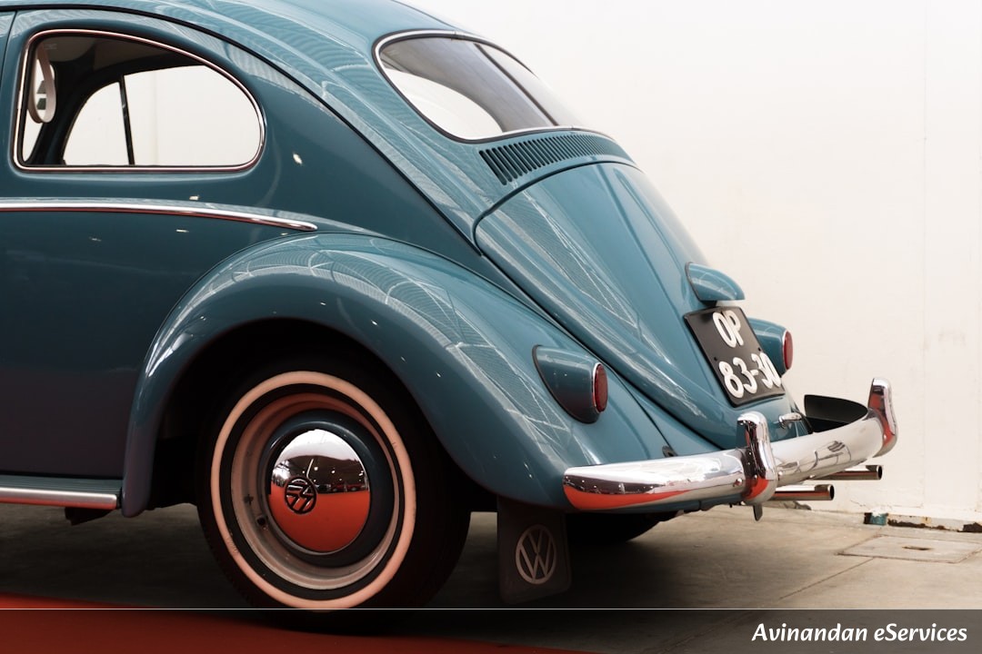 How Can a Beetle Survive Being Run Over by a Car?: A Science Chat with Vikram and Isha