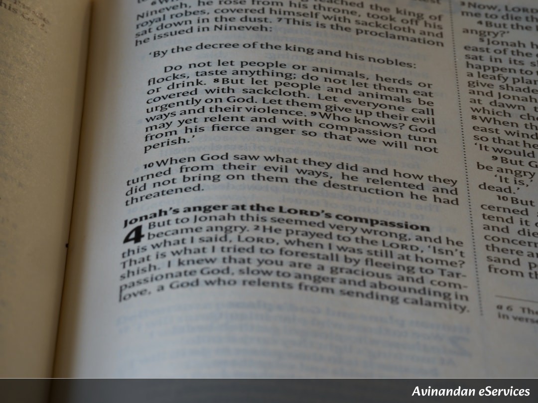 NCERT Explained: Class XI Political Science, Chapter 1 - Constitution: Why and How?