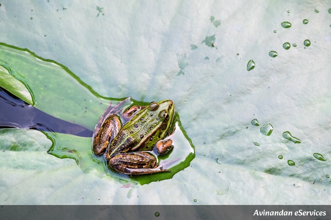 How Did a Twitching Frog's Leg Reveal Our Body's Electricity?: A Science Chat with Samir and Ananya
