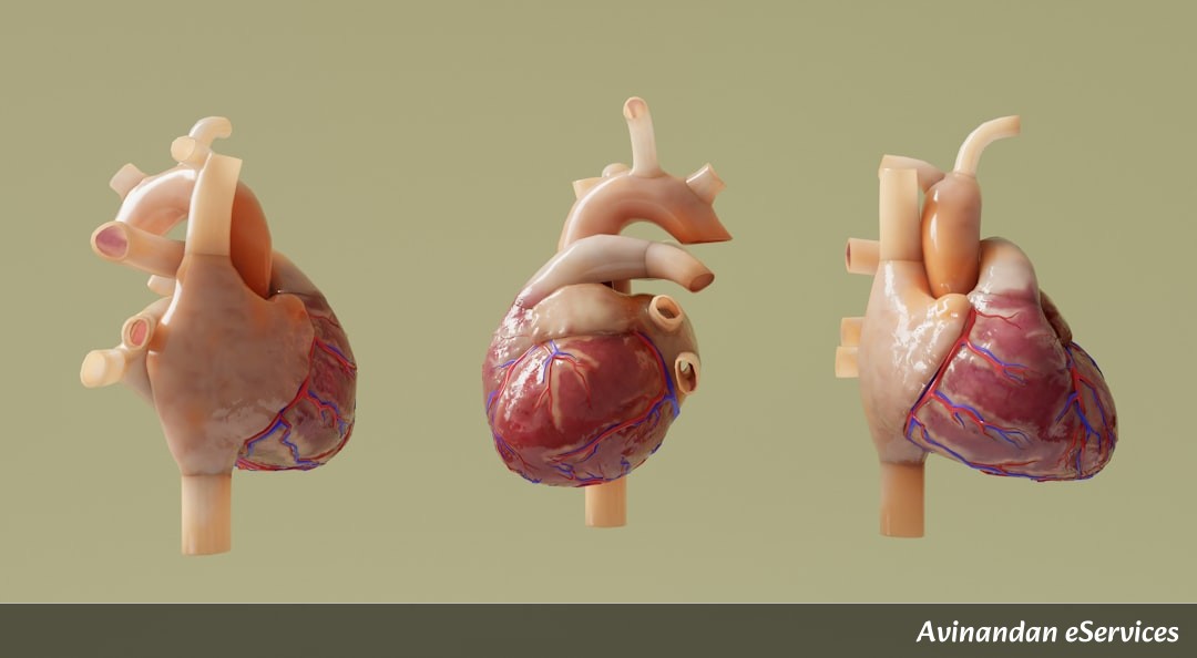 Master the Human Respiratory System for RRB NTPC & Group D: Complete Biology Guide