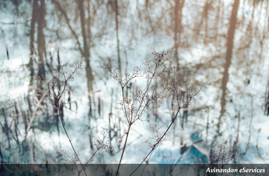 On This Day, November 30th: David vs. Goliath in the Snows of Finland – The Winter War Begins
