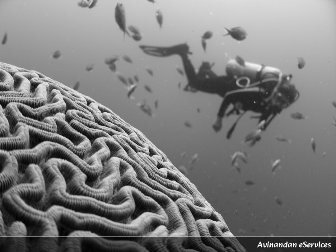 NCERT Explained: Class XII Psychology, Chapter 4 - Psychological Disorders: Understanding the Mind's Challenges