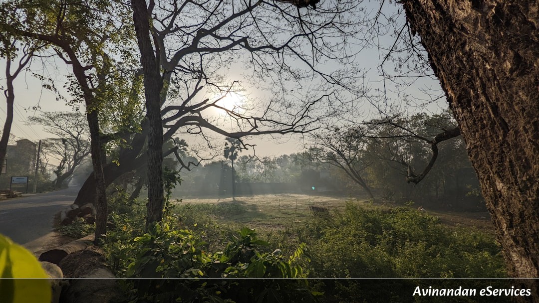 রাজ্য রাজনীতিতে উত্তাপ: সিপিআইএমের 'বাংলা বাঁচাও যাত্রা' শুরু, পর্যটনে দ্বিতীয় স্থানে পশ্চিমবঙ্গ