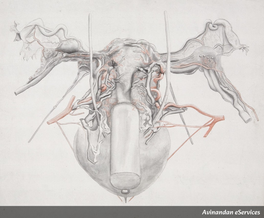 RRB NTPC & Group D Biology: Master the Human Digestive System – Organs, Enzymes & Functions Explained