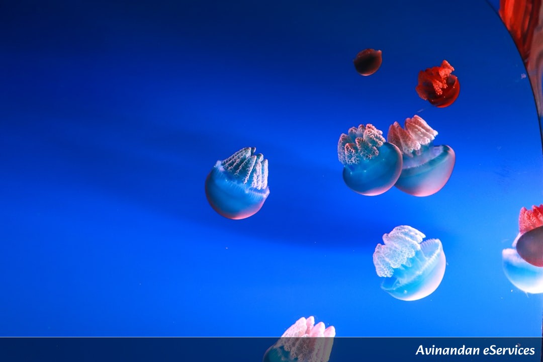 How Can Tiny Plastic Balls Lift a Sunken Ship?: Samir and Priya Investigate!