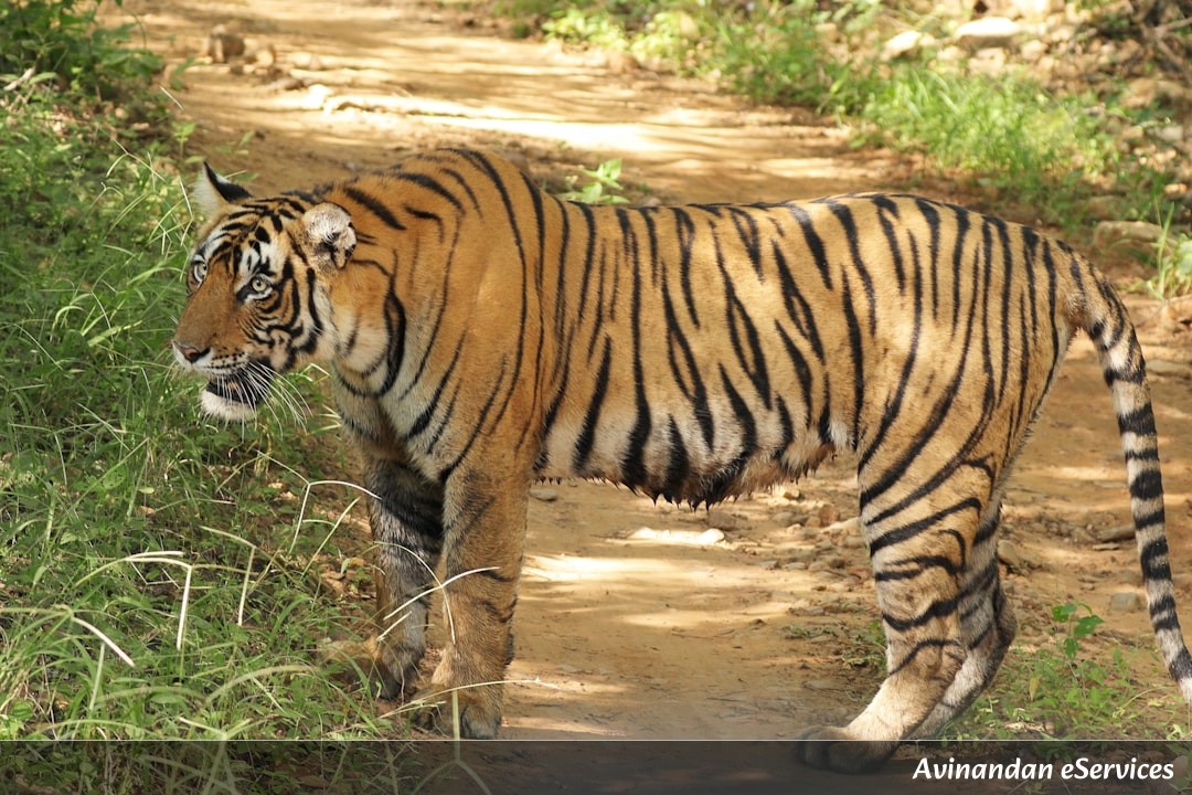 Master National Parks & Wildlife Sanctuaries for RRB NTPC & Group D: Complete GK Guide with Maps & Questions