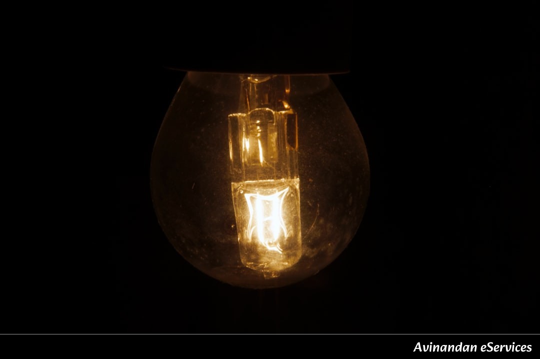 How Can a Firefly Make Its Own Light?: Rohan and Saanvi Investigate!