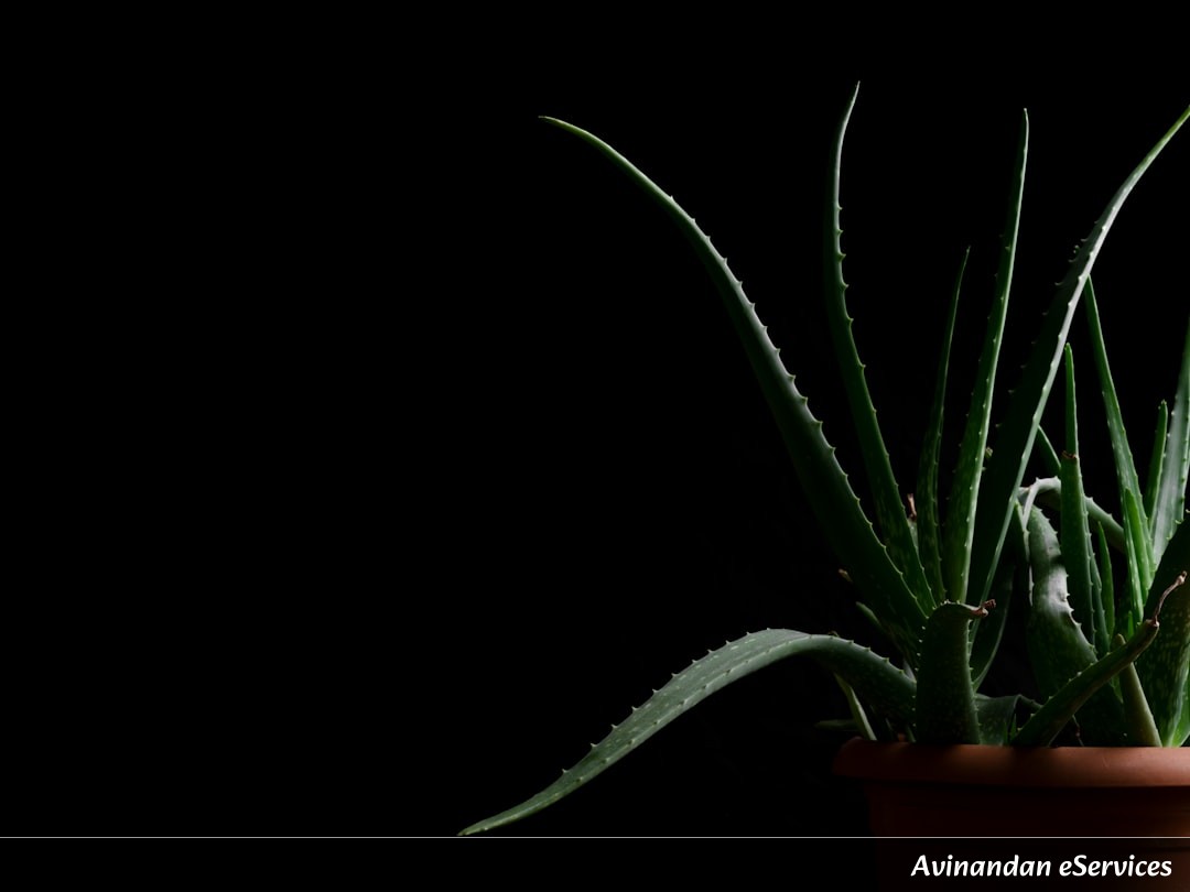 Can Plants Actually 'Hear' Their Predators?: A Chat with Samir and Ananya