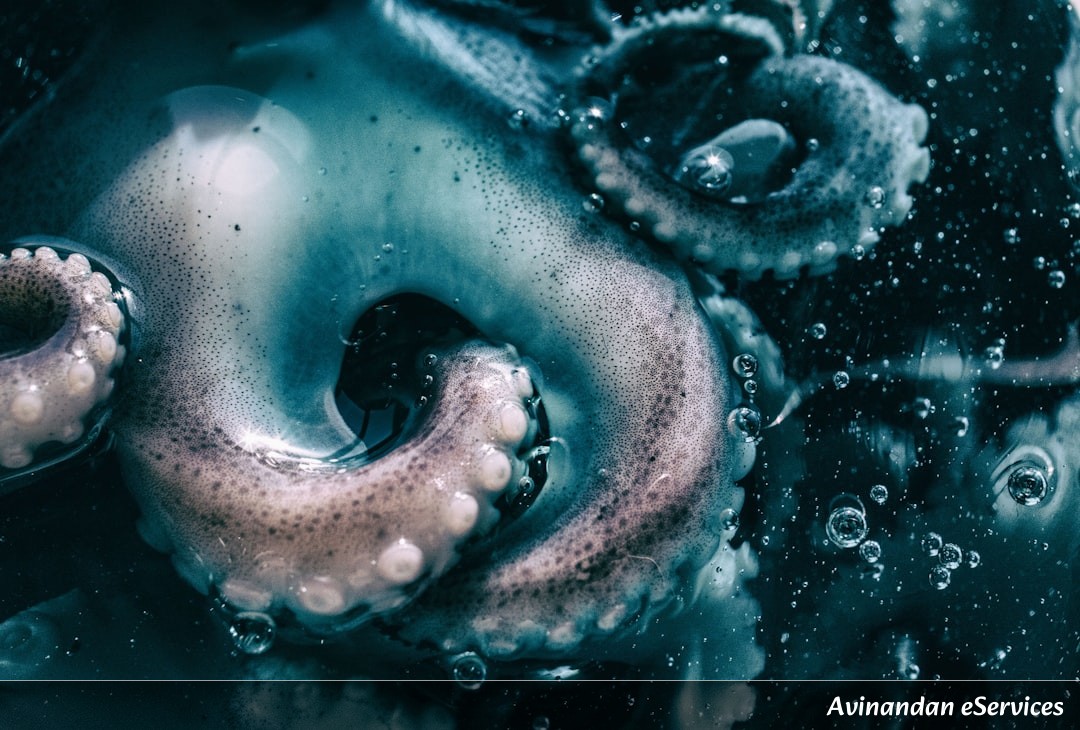 Can Water Actually 'Remember' Things?: A Science Chat with Kabir and Saanvi