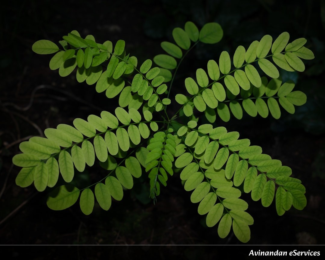 How Can Plants 'Taste' with Their Roots?: A Science Chat with Kabir and Priya