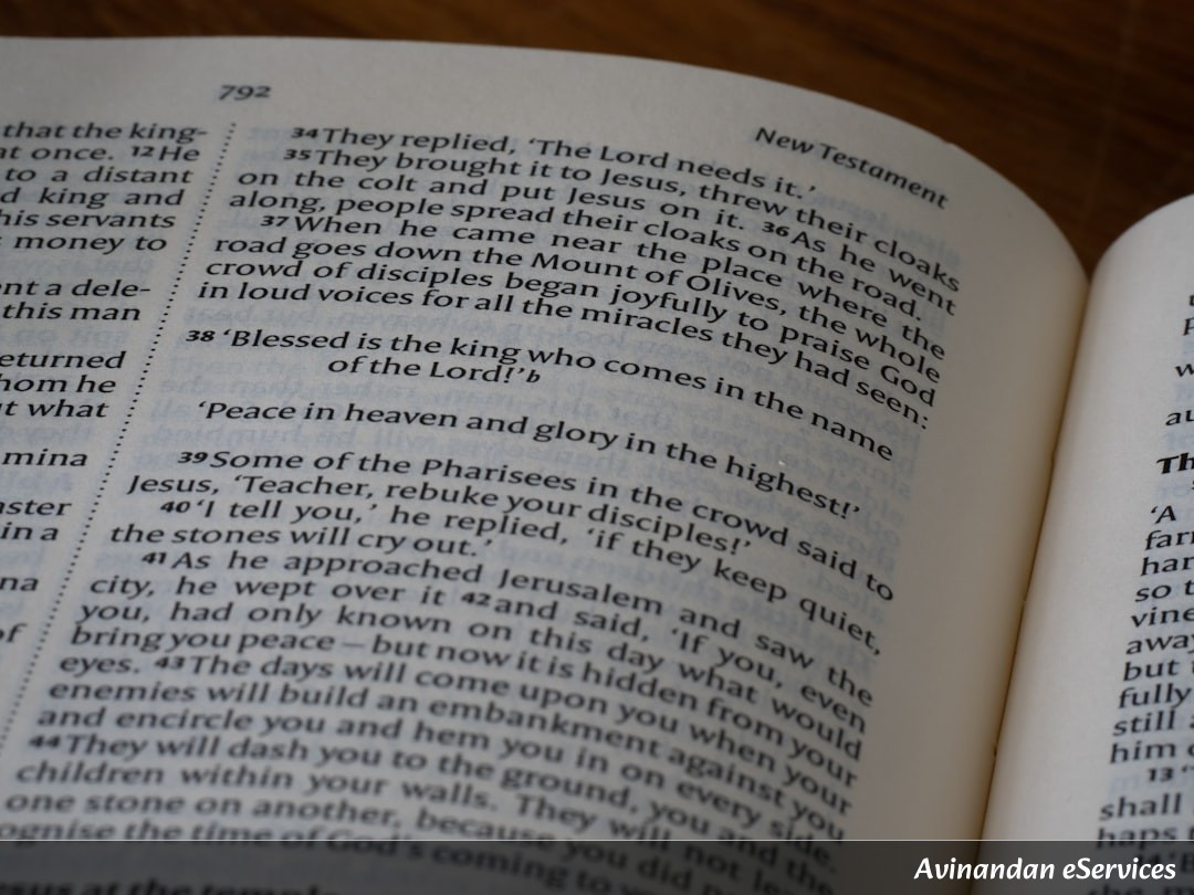 NCERT Explained: Class VIII Political Science, Chapter 4 - Understanding Laws: The Foundation of Justice