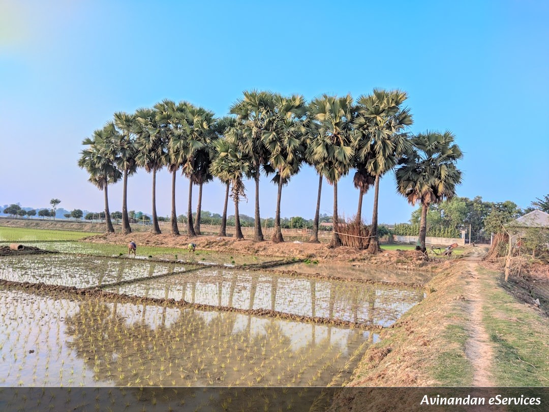 RRB NTPC & Group D Geography: Master Indian Soil Types, Agriculture, and Crops