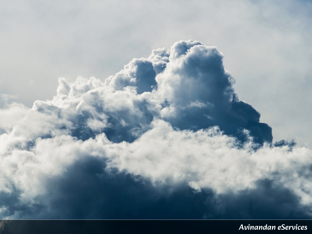 How Can a Cloud Weigh as Much as 100 Elephants?: A Science Chat with Vikram and Mira