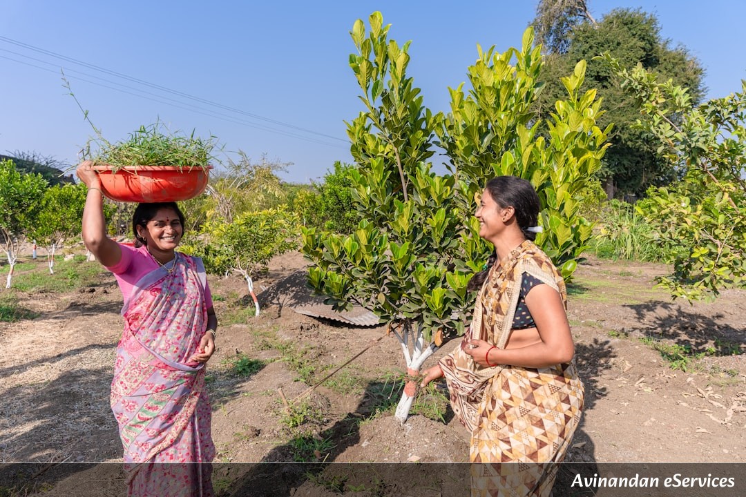 How Can a Tree Explode Like a Cannon?: Arjun and Priya Discover the Dynamite Tree!