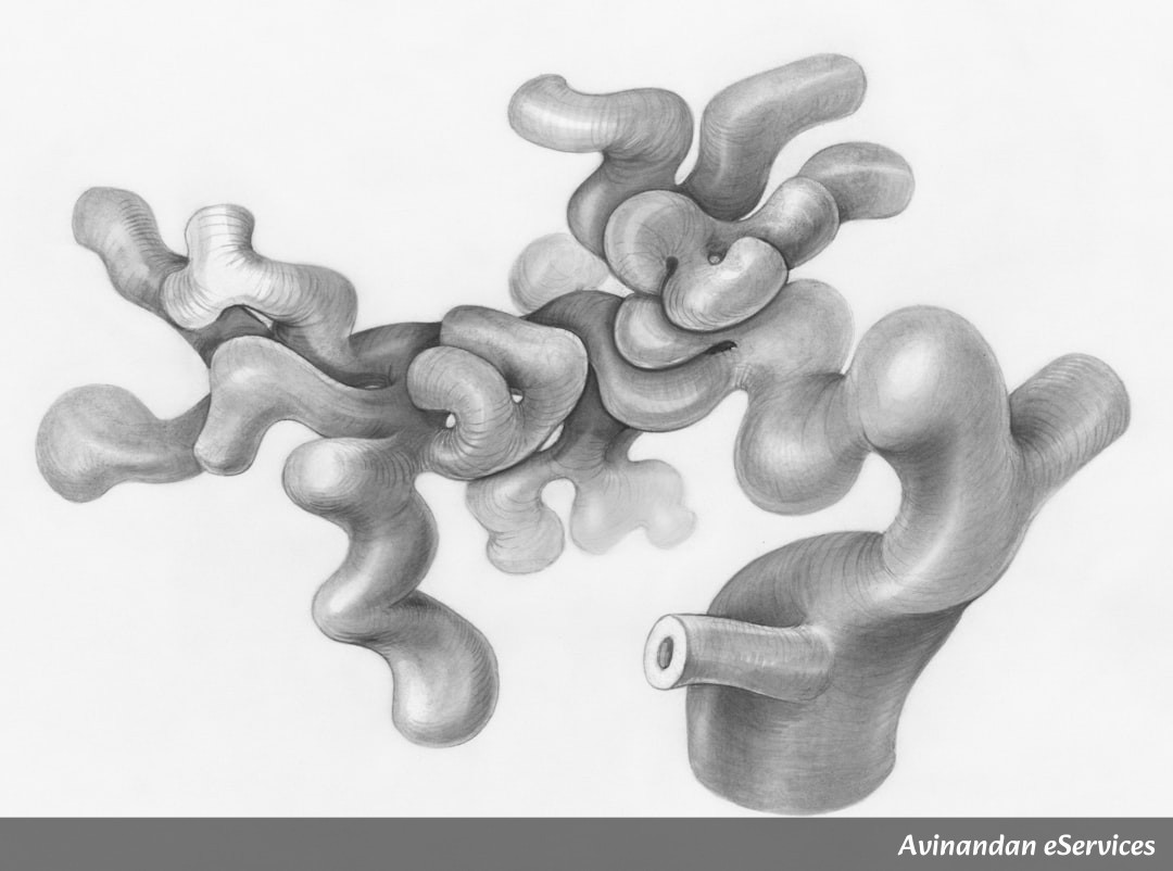 Master the Human Excretory System for RRB NTPC & Group D: Complete Biology Guide