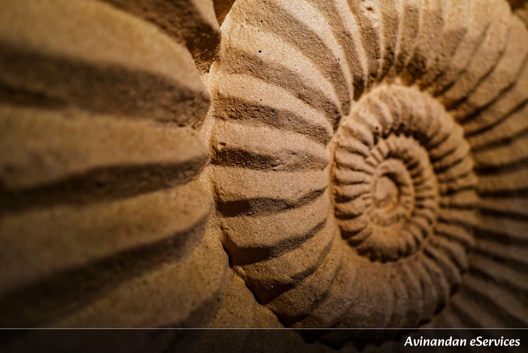 How Can a Seed Sleep for 32,000 Years?: A Science Chat with Rohan and Ananya