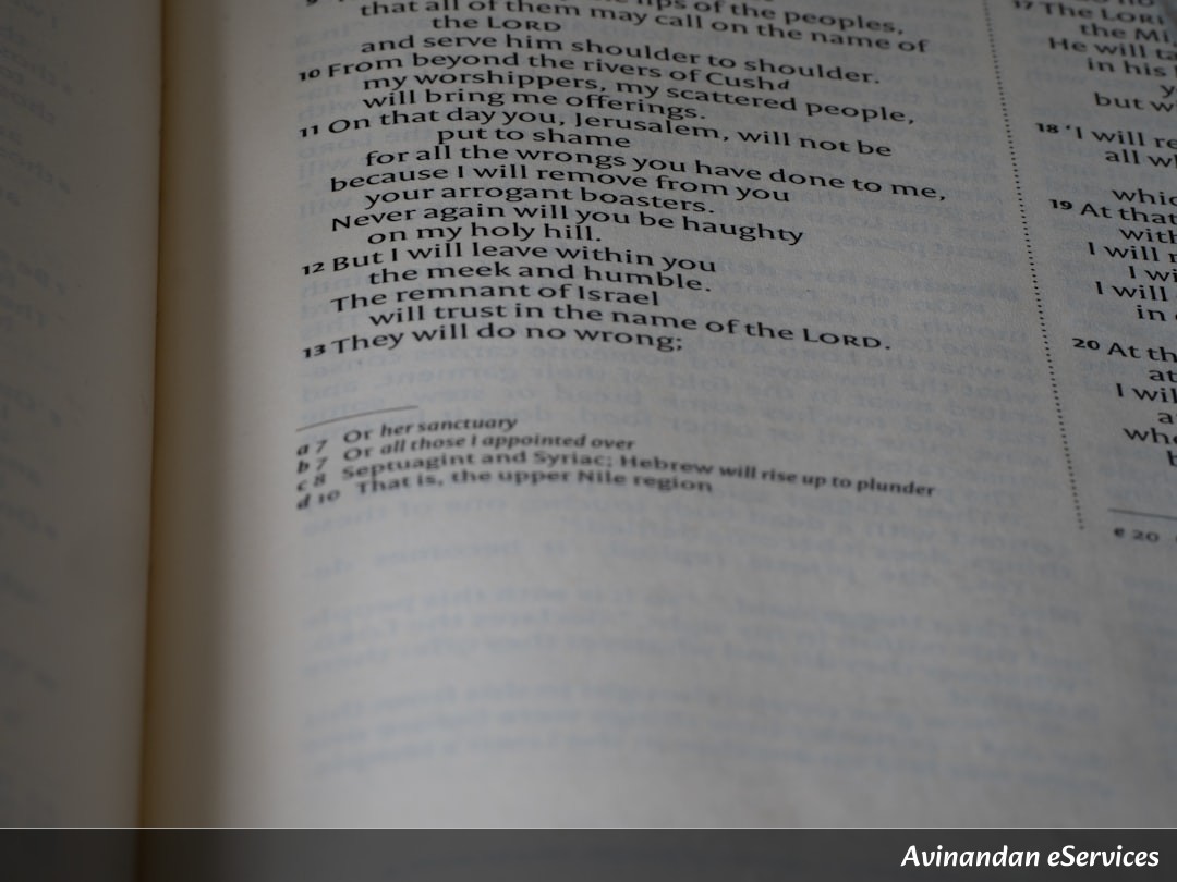 NCERT Explained: Class XI Political Science, Chapter 9 - Constitution as a Living Document