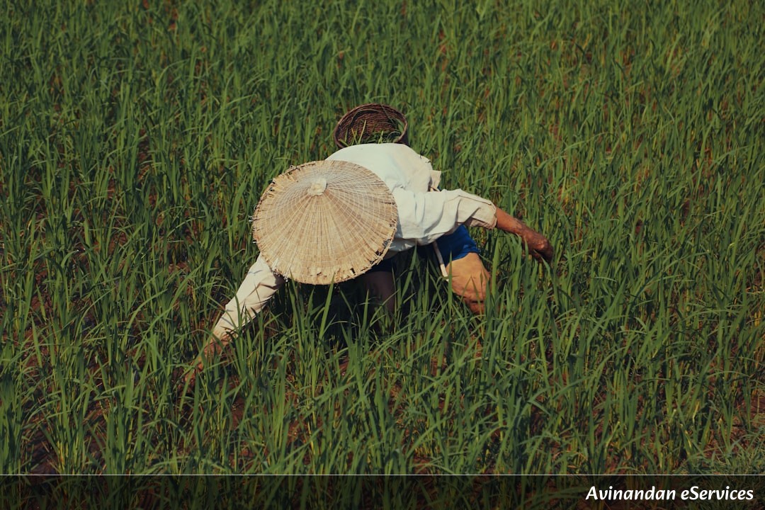 NCERT Explained: Class VIII Geography, Chapter 4 - Agriculture: Cultivating Our Future