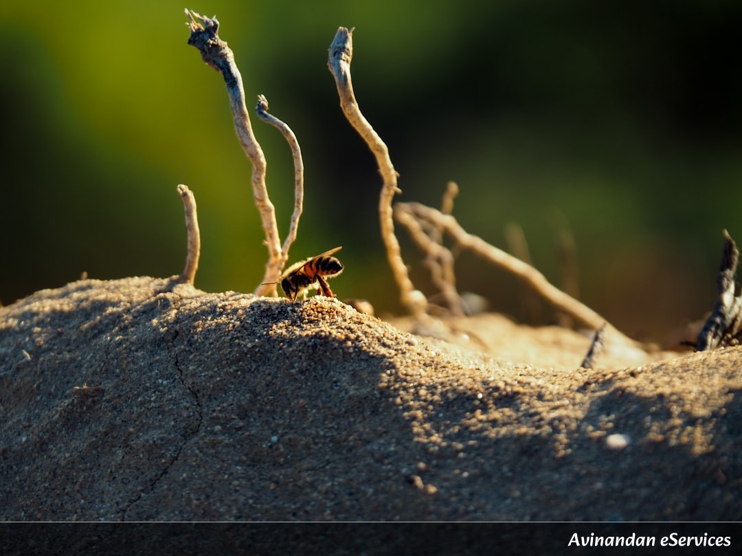 How Can an Ant Become a Living Honey Jar?: Samir and Priya Find Out!