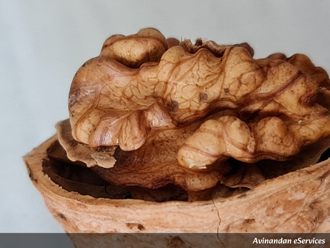 Why Do the Biggest Nuts Always End Up at the Top?: Samir and Priya Shake Things Up!