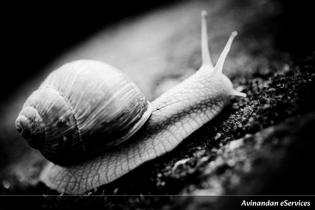 How Can a Snail Have a Shell Made of Real Iron?: A Science Chat with Rohan and Ananya