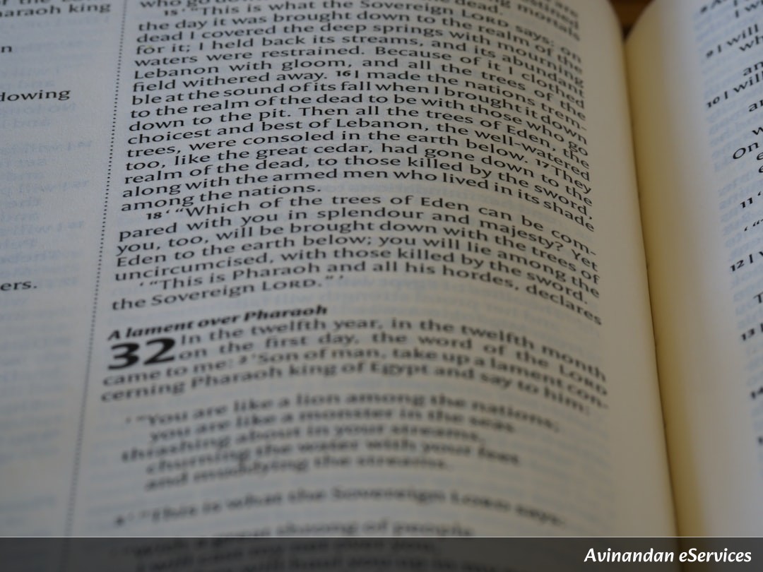 NCERT Explained: Class IX Political Science, Chapter 3 - Electoral Politics: The Gateway to Democracy