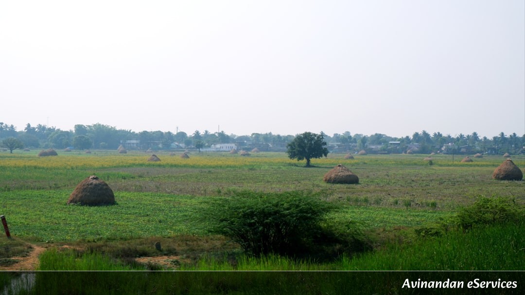 NCERT বিস্তারিত ব্যাখ্যা: নবম শ্রেণি অর্থনীতি, অধ্যায় ১ – পালমপুর গ্রামের গল্প: গ্রামীণ অর্থনীতির একটি পূর্ণাঙ্গ চিত্র