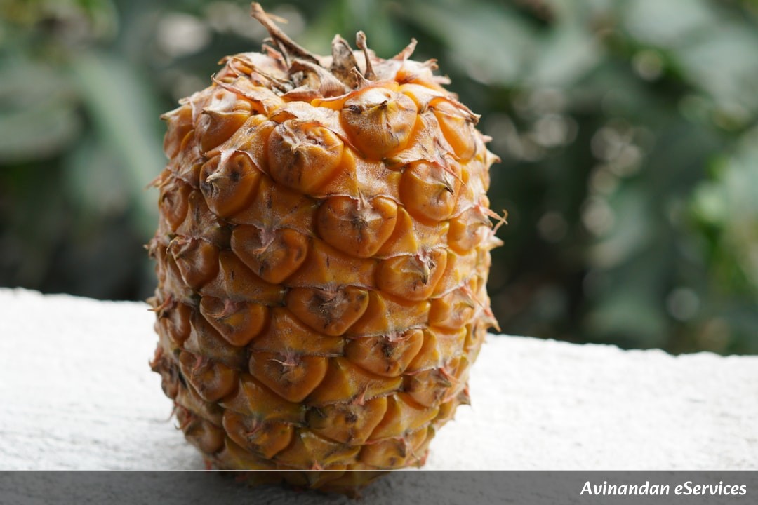 Why Does a Pineapple Eat You Back?: Aarav and Ananya Dig In!