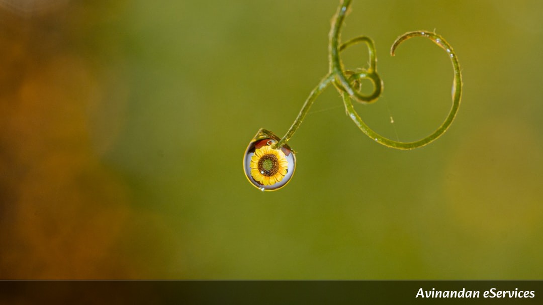How Can a Tiny Shrimp Create a Bubble as Hot as the Sun?: A Science Chat with Rohan and Mira